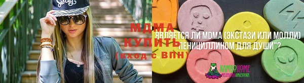 дживик Бронницы