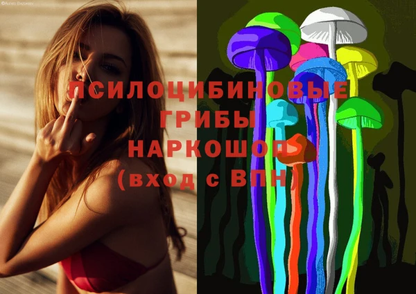 spice Бородино