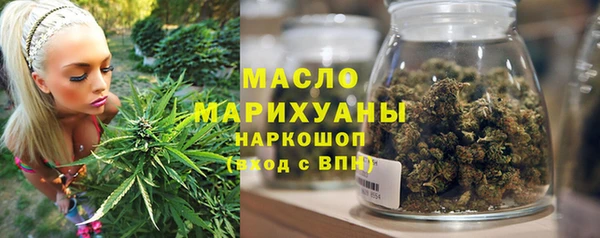 дживик Бронницы