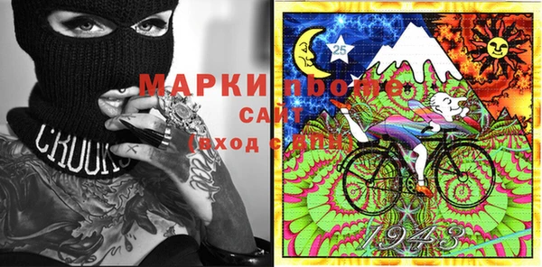 spice Бородино