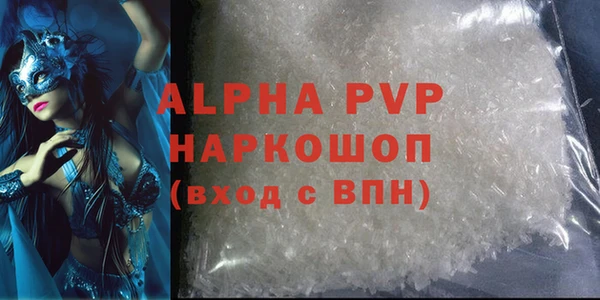 spice Бородино