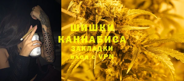 spice Бородино