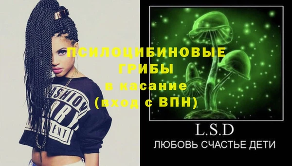 дживик Бронницы