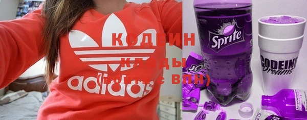 spice Бородино