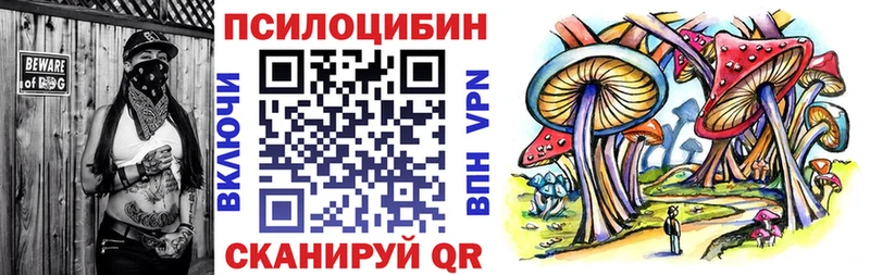 Псилоцибиновые грибы Psilocybe  Купить закладки  Когалым 